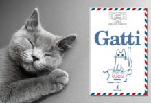 Recensione del libro l'arte delle lettere sui gatti