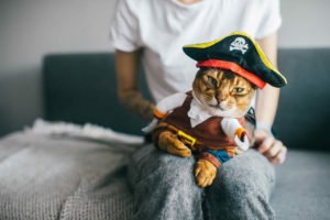 Il gatto travestito da pirata